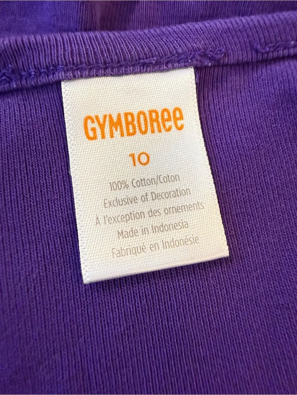 Gymboree Girls Size 10 Purple Llama Embroidered Top & Leggings Set